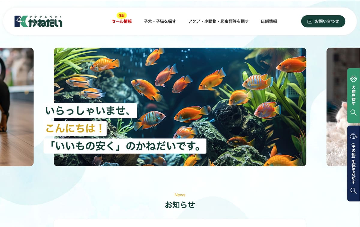 かねだいのトップベージ