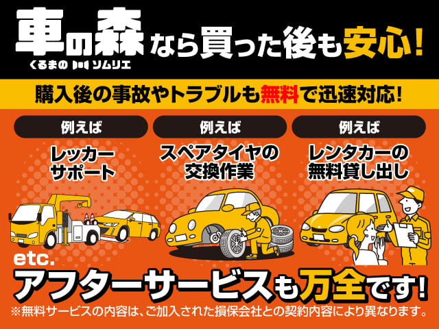 車の森のアフターサービス
